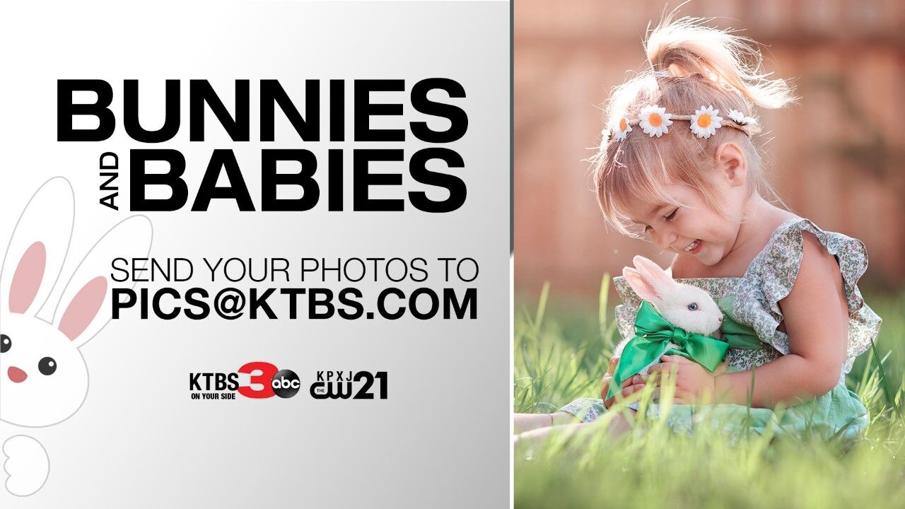 Bunnies and Babies
